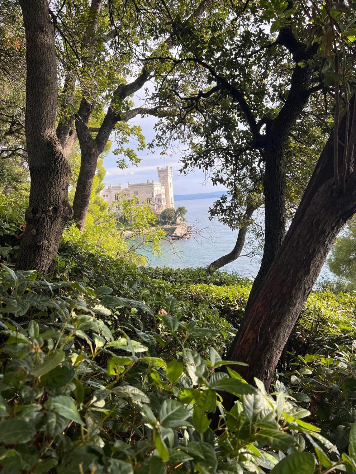 Vignola 6 Lägenhet Trieste Exteriör bild